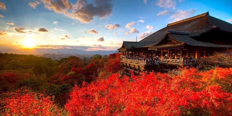 TOKYO – NÚI PHÚ SỸ - NAGOYA - OSAKA Thời gian:  6 Ngày/5 Đêm Phương tiện: Máy bay Vietjet air